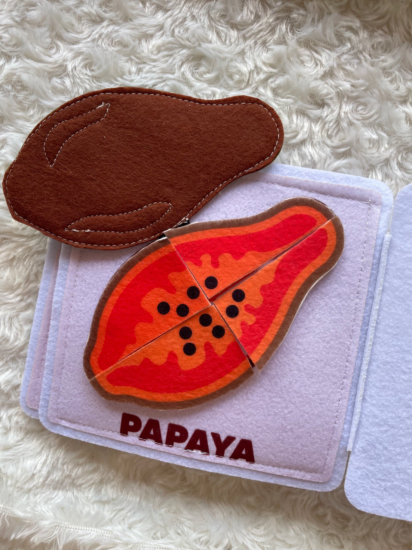 MALAYSIAN FRUIT MINI BUSY BOOK