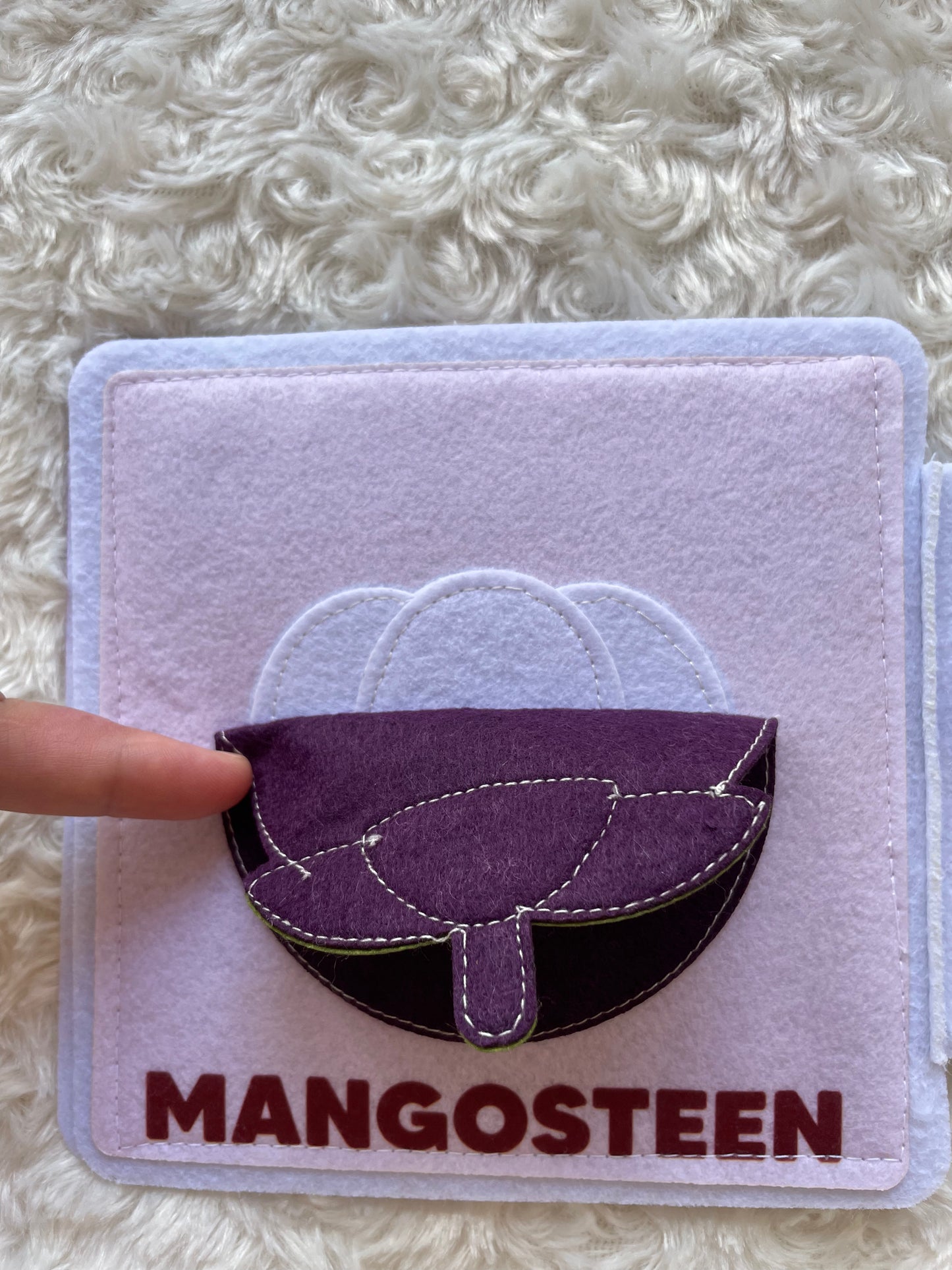 MALAYSIAN FRUIT MINI BUSY BOOK