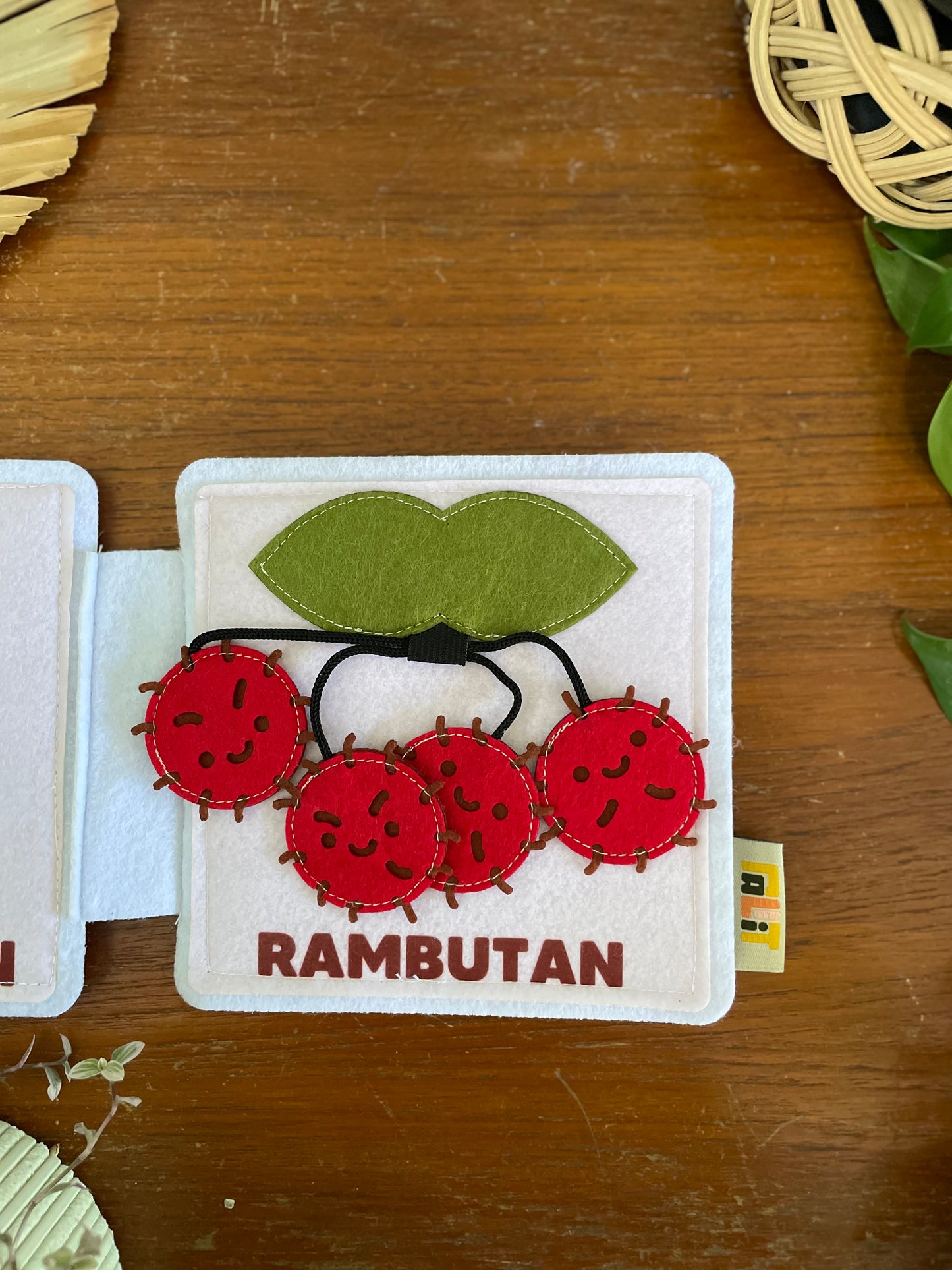 MALAYSIAN FRUIT MINI BUSY BOOK