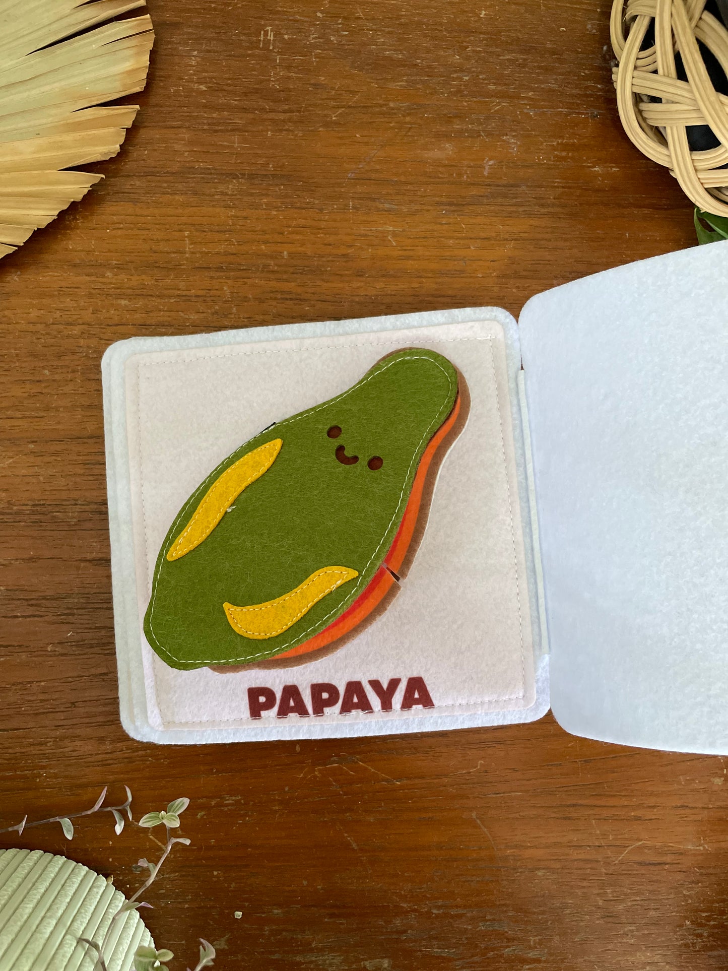 MALAYSIAN FRUIT MINI BUSY BOOK