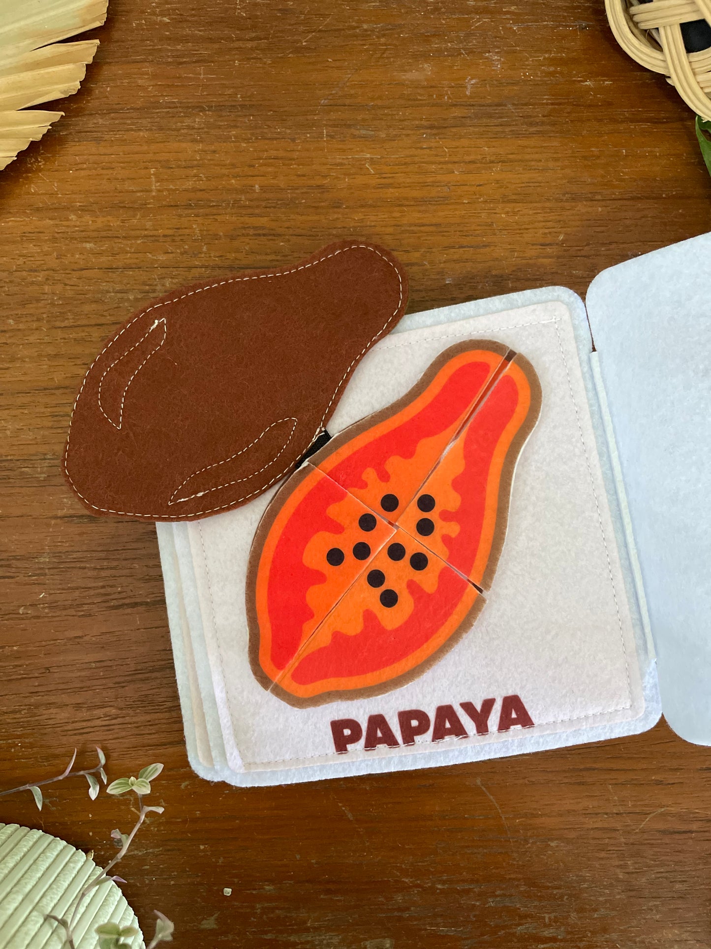 MALAYSIAN FRUIT MINI BUSY BOOK
