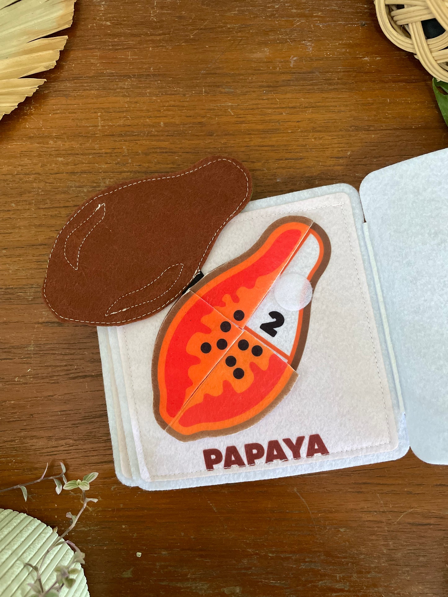 MALAYSIAN FRUIT MINI BUSY BOOK